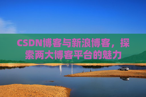 CSDN博客与新浪博客,探索两大博客平台的魅力